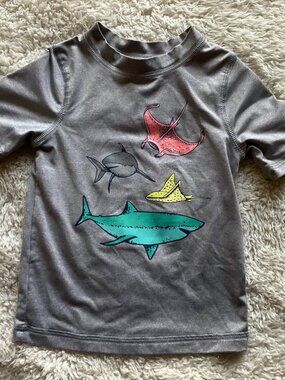 Cat & Jack Grey Shark Ray Rash Guard 18M
